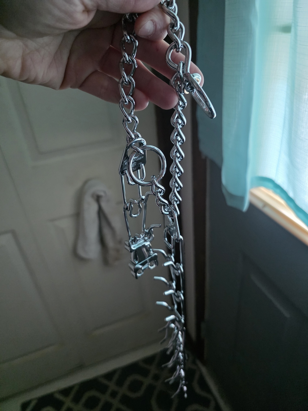 Silver Dog Prong Collar